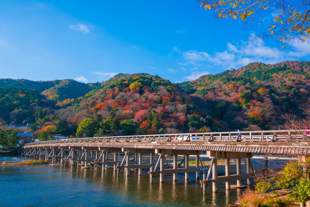 京都観光　嵐山と保津川下り体験コース